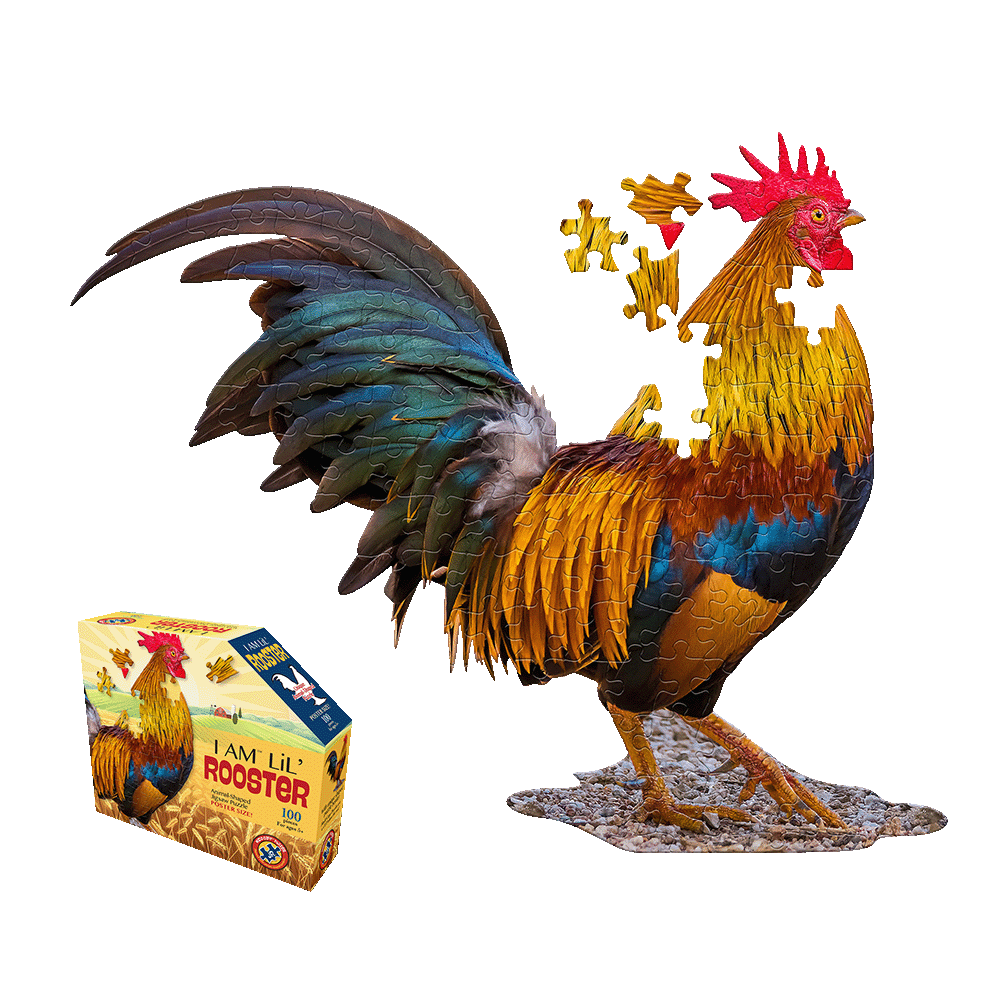 I AM Lil' Rooster 100-piece jigsaw puzzle box and assembled foam rooster puzzle with colorful blue, gold, and red feathering on plain background