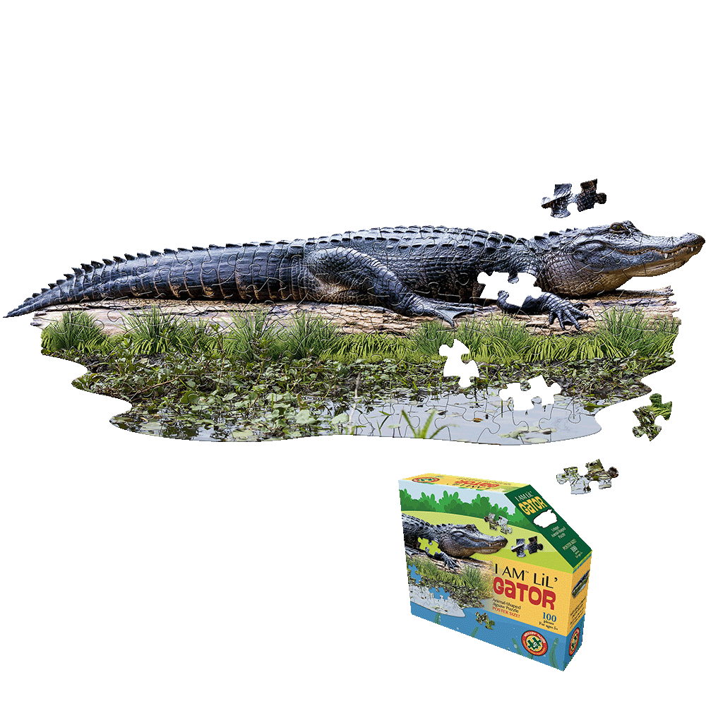 Madd Capp I AM LiL' Gator 100-piece jigsaw puzzle shown completed as an alligator-shaped puzzle on wetland background, with product box displayed below