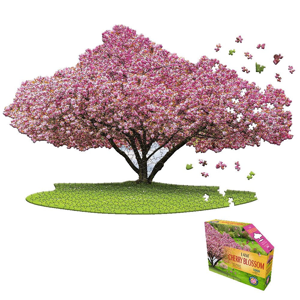 Cherry blossom tree-shaped jigsaw puzzle box and completed puzzle image showing pink flowering tree with green grass base and falling blossoms