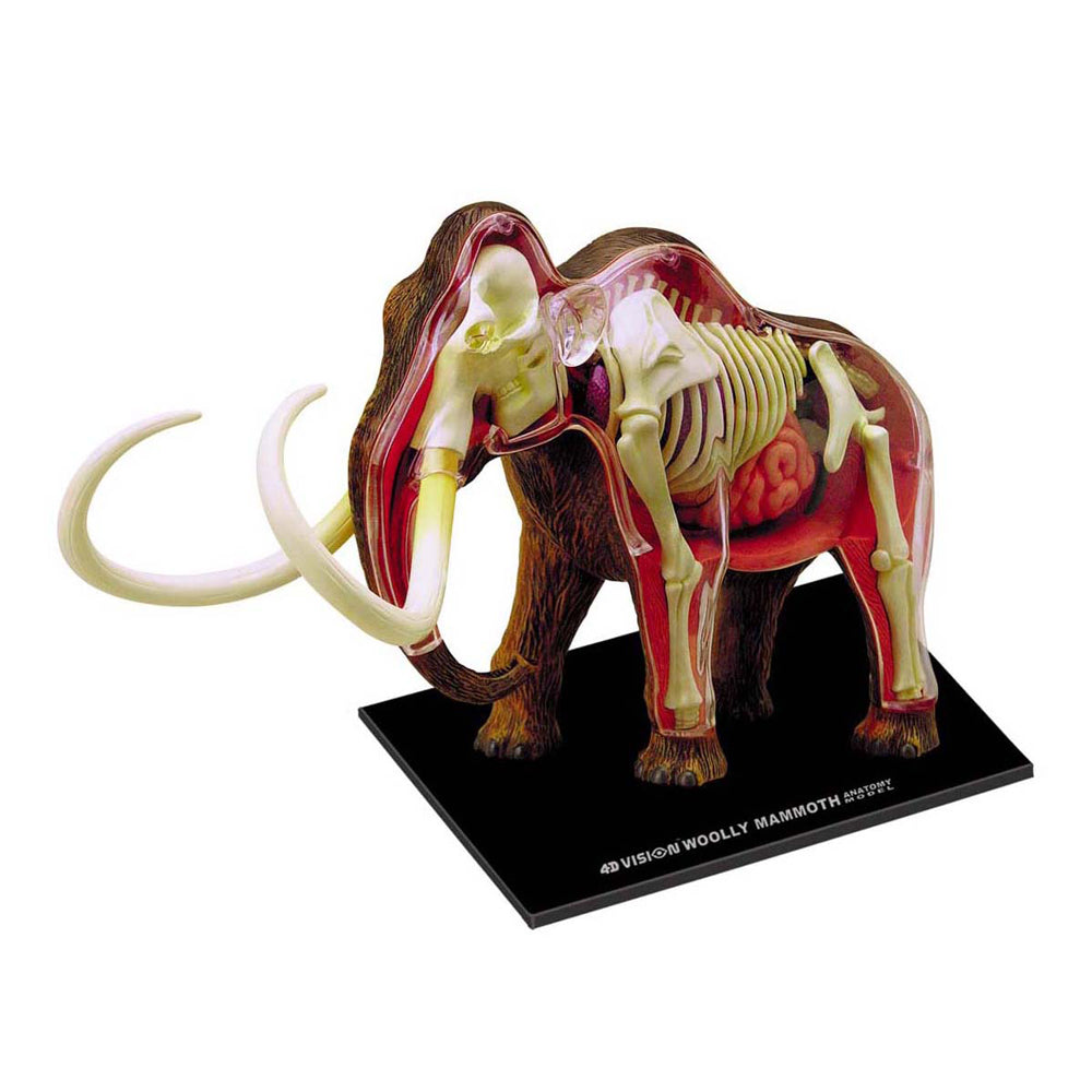 4D Master Wooly Mammoth Anatomy Model showing skeletal and internal organ structure with transparent body panels on black base