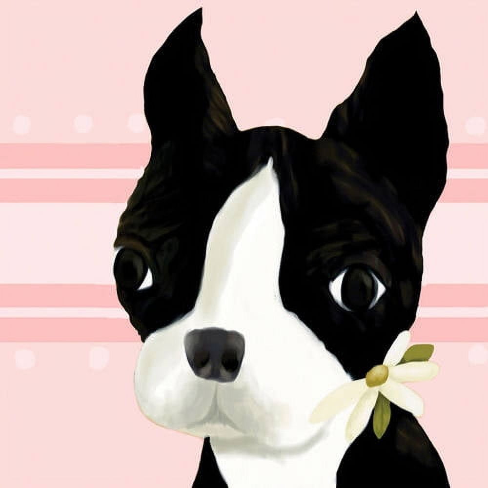 Illustration of a black and white Boston Terrier with pointed ears wearing a white flower, on pink striped background