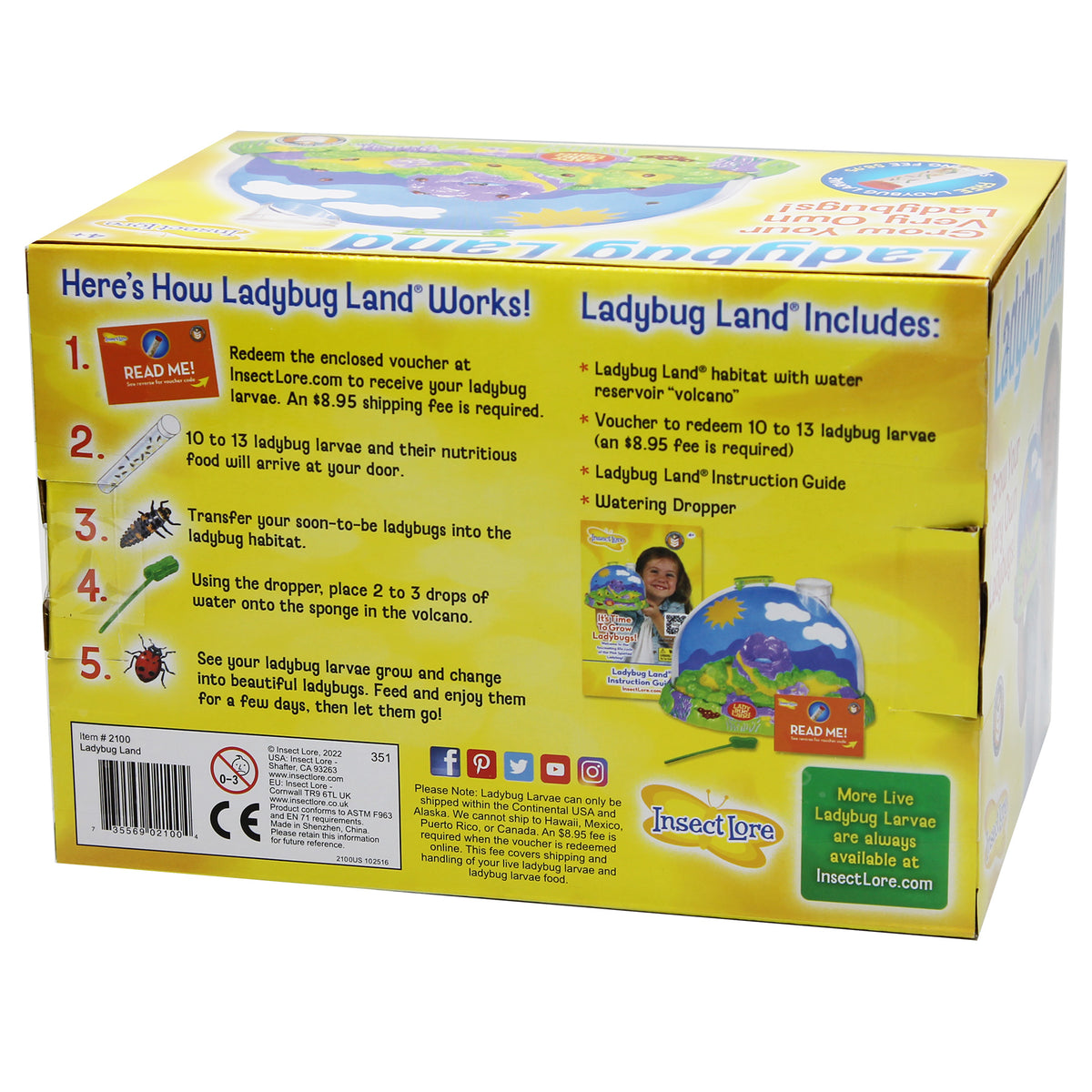 Insect Lore Ladybug Land Growing Kit box showing blue dome habitat with volcano water reservoir and included voucher ...