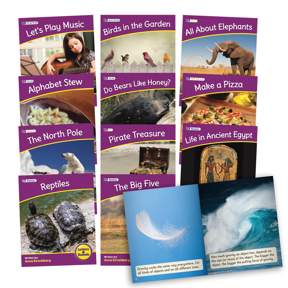 Collection of nine colorful educational books with purple spines displayed in a fanned arrangement, featuring titles like Letters and Sounds, Birds in the Garde