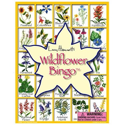 Wildflower Bingo game box featuring Lucy Hammett's design with a yellow star center and grid of illustrated native wildflowers labeled with names like Firewheel