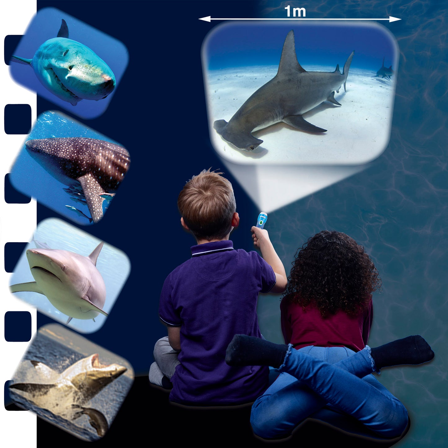 Brainstorm Toys Shark Torch & Projector - Marine Exploration - Ages 3+