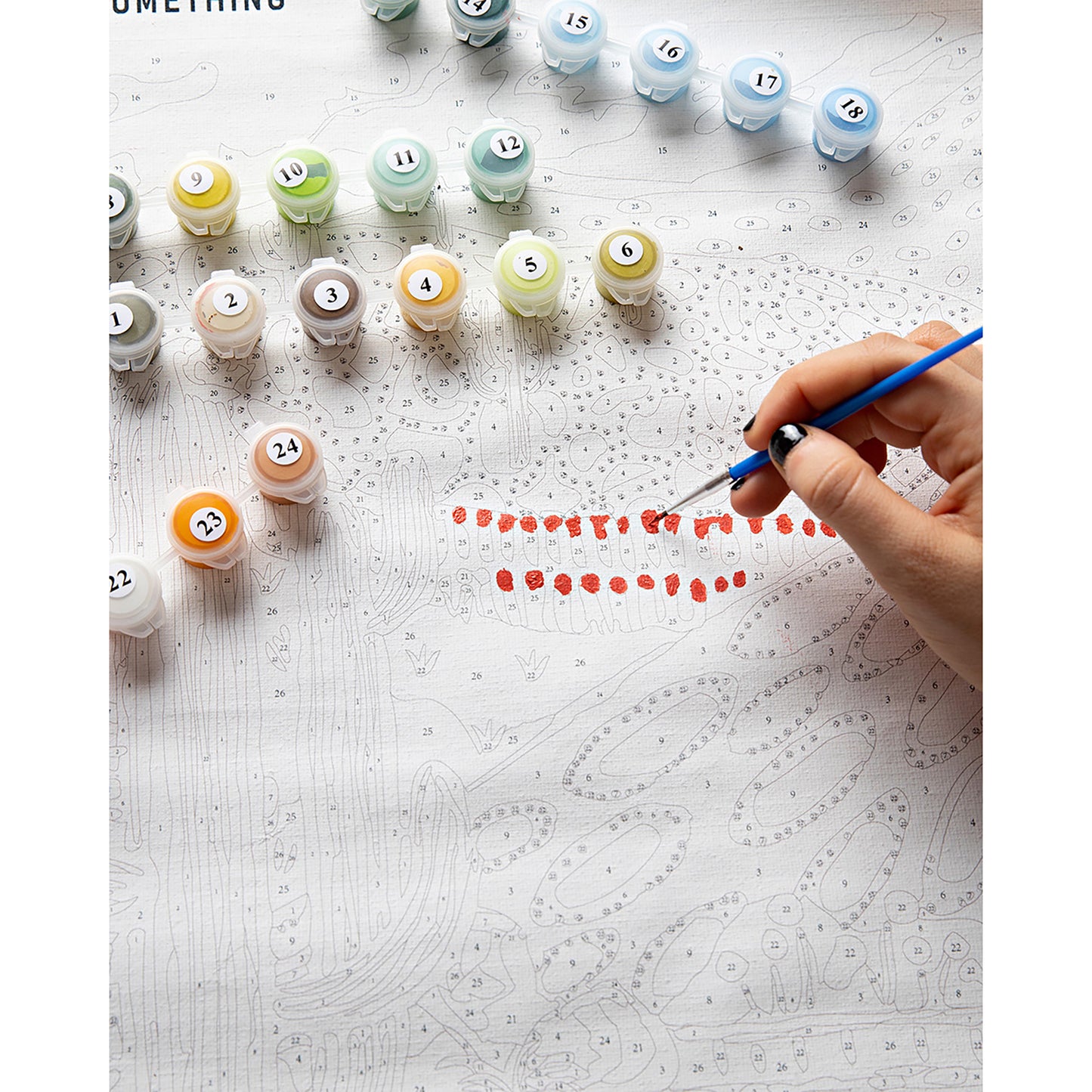 JOS Paint By Numbers Cactus Valley kit with numbered paint pots and blue brush