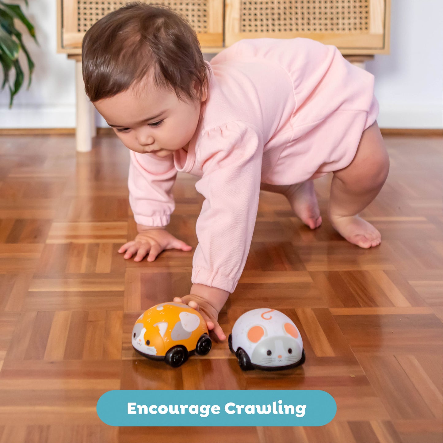 Tiger Tribe Zoomies Cat & Mouse Pull Back Toy Car Set, Interactive for Toddlers