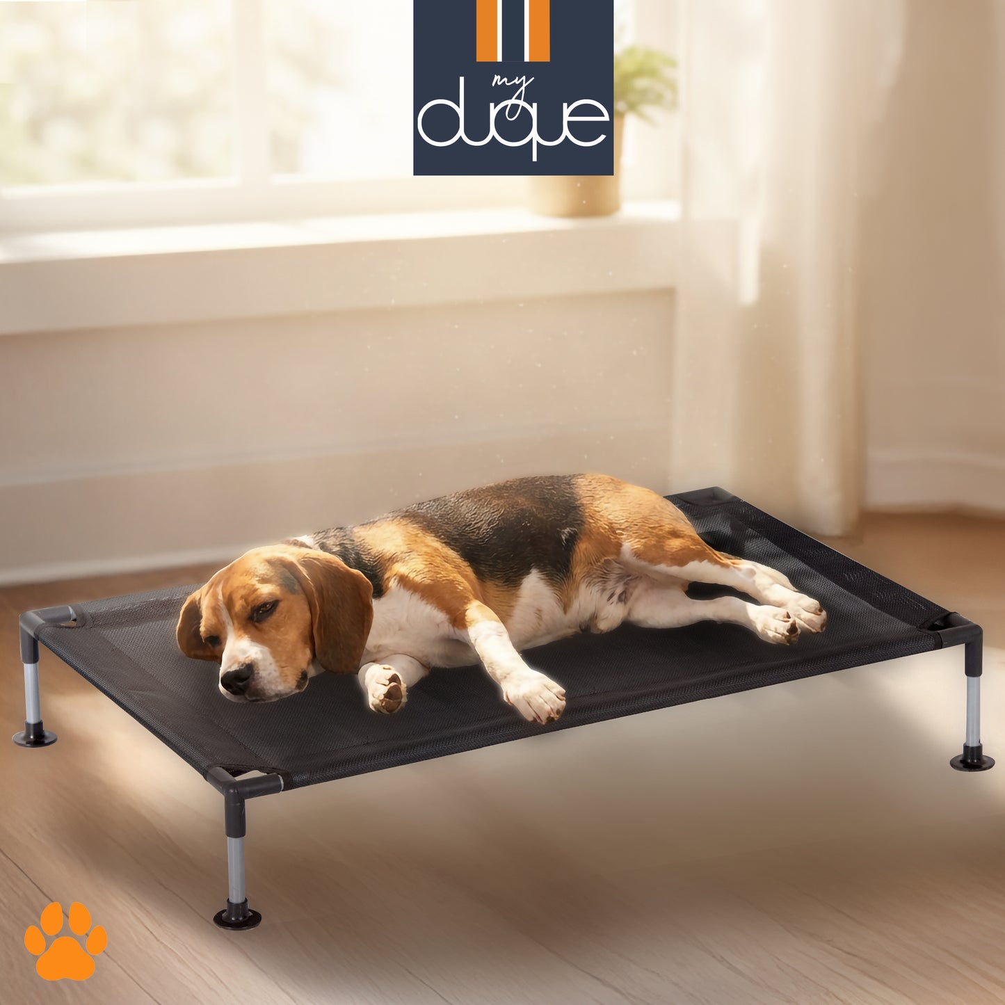 My Duque COOLA Pet Bed Large black dog lounger with beagle resting
