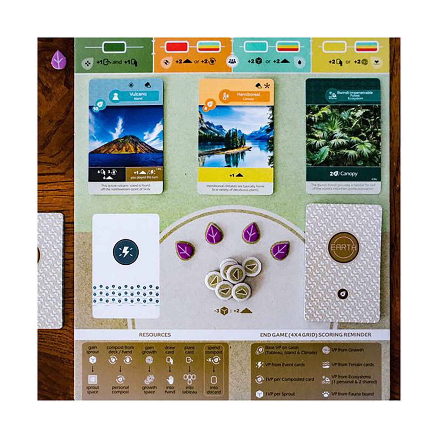 Earth board game with terrain cards, resource tokens, and scoring grid on wooden surface