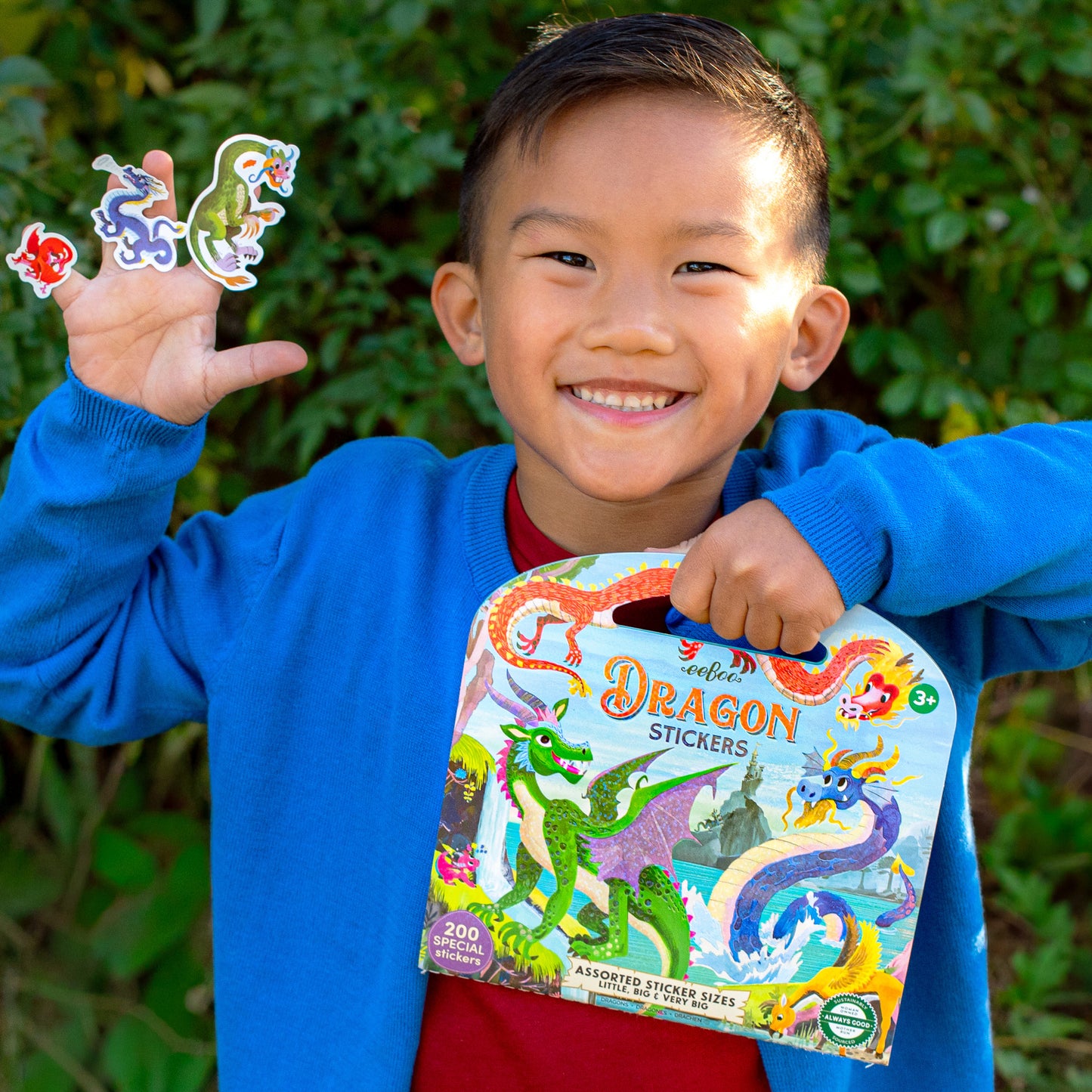 eeBoo Dragon Stickers book with 200+ stickers, colorful dragons on packaging