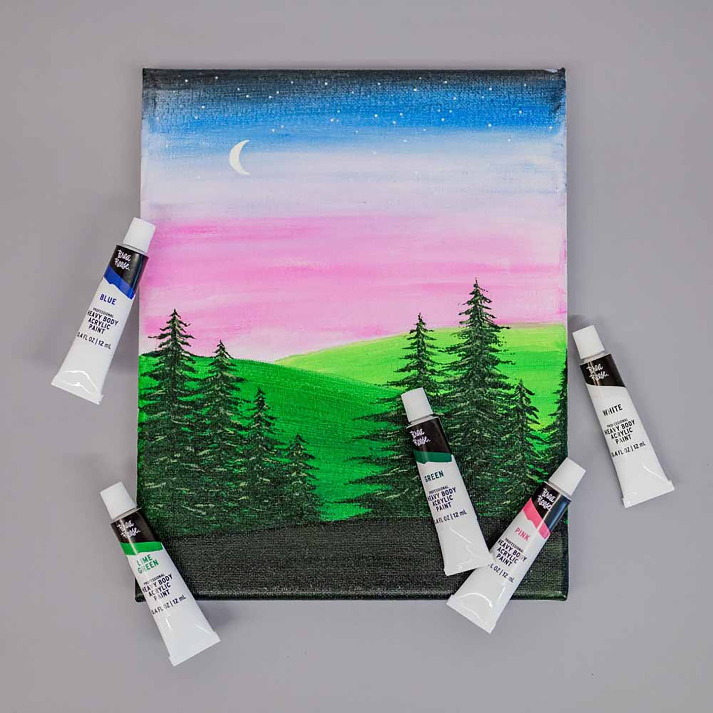 Professional Heavy Body Acrylics 12ct set with landscape painting and color tubes