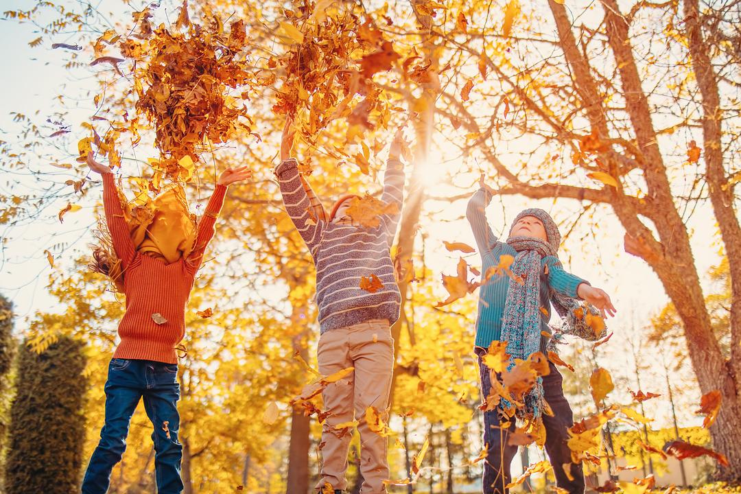 Three children throwing autumn leaves in the air under golden fall foliage and trees