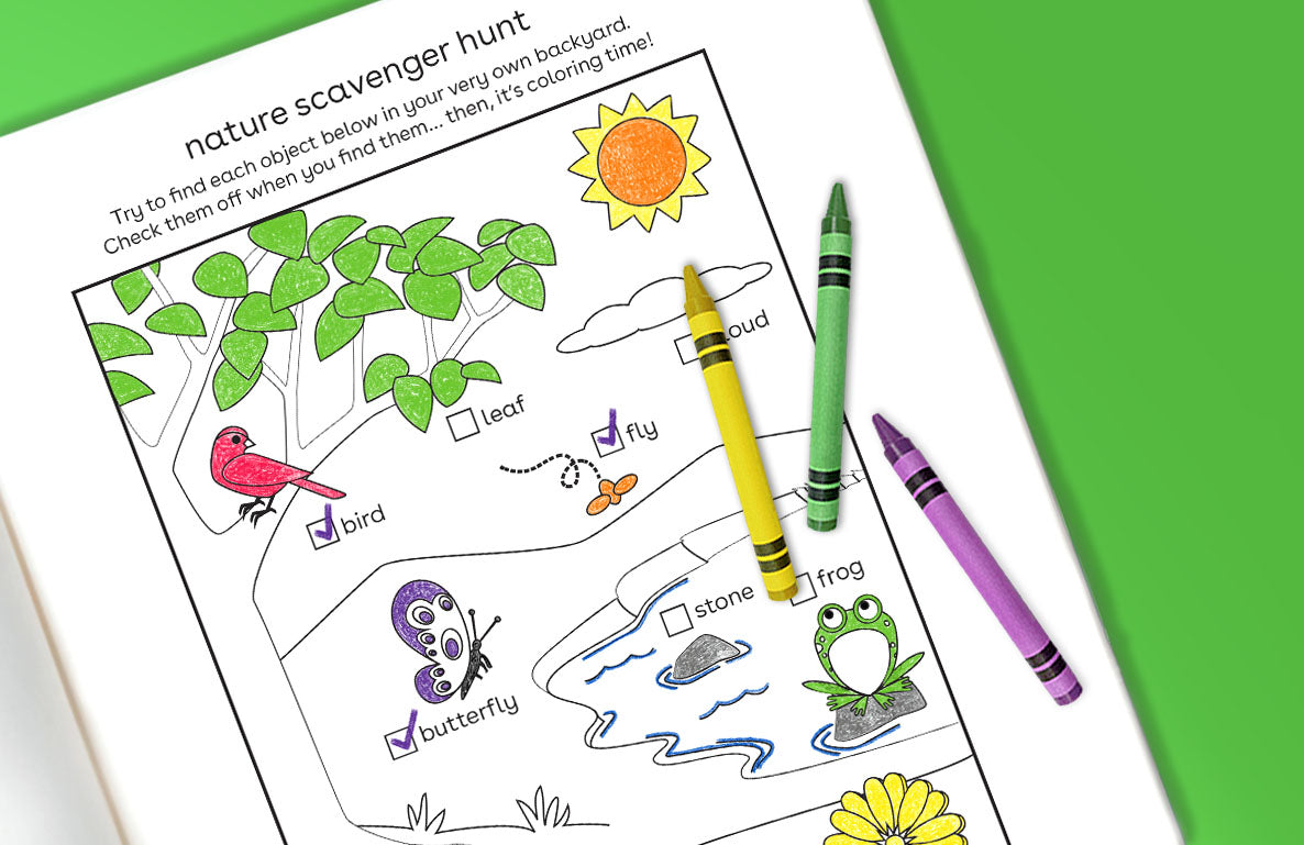 Nature scavenger hunt printable activity page with illustrated leaf, bird, butterfly, fly, cloud, sun, stone, and frog to find and color, displayed with yellow,