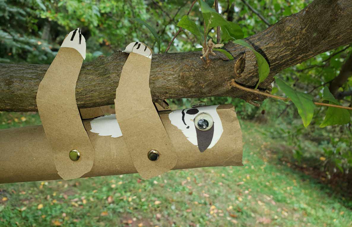 Three handmade sloth crafts made from cardboard tubes with white and tan paper, black claw marks, and googly eyes, hanging on a tree branch surrounded by green