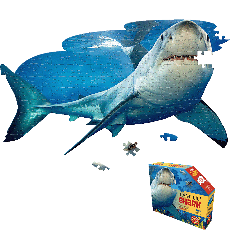 I AM LiL' SHARK 100-piece jigsaw puzzle shaped like a great white shark with loose puzzle pieces and product box shown