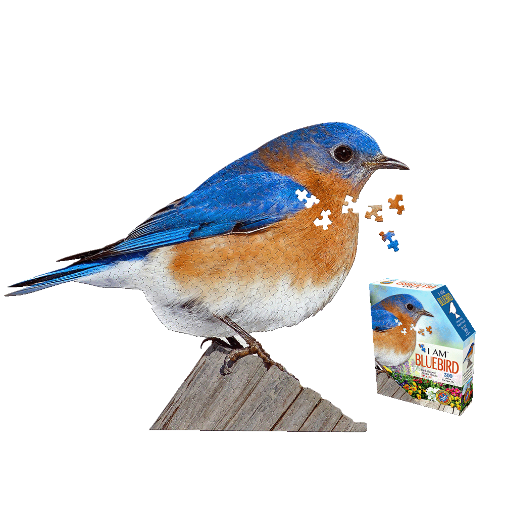 I AM BLUEBIRD 300-piece jigsaw puzzle featuring blue and orange bluebird perched on wooden post with scattered puzzle pieces and product box