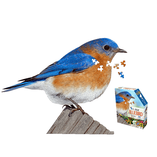 I AM BLUEBIRD 300-piece jigsaw puzzle featuring blue and orange bluebird perched on wooden post with scattered puzzle pieces and product box