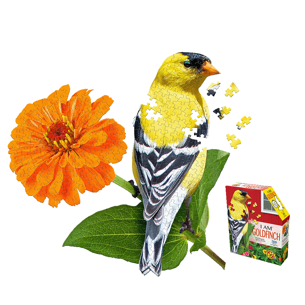 I AM GOLDFINCH 300-piece jigsaw puzzle showing a yellow and black goldfinch with orange flower and puzzle pieces, next to red product box