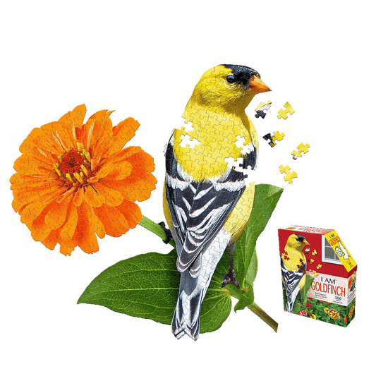 I AM GOLDFINCH 300-piece jigsaw puzzle showing a yellow and black goldfinch with orange flower and puzzle pieces, next to red product box