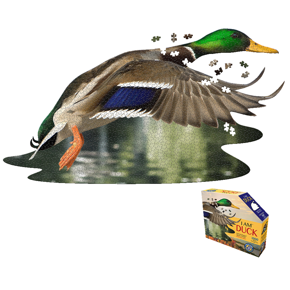 Duck-shaped jigsaw puzzle with green head, brown wings, blue stripe, and orange feet, shown partially assembled with loose pieces, next to I AM DUCK puzzle box