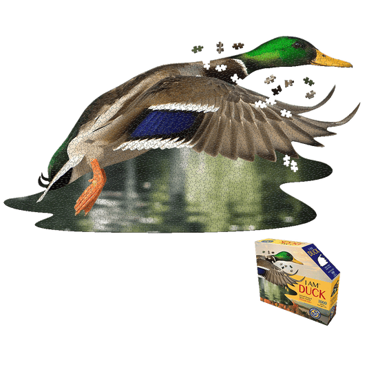 Duck-shaped jigsaw puzzle with green head, brown wings, blue stripe, and orange feet, shown partially assembled with loose pieces, next to I AM DUCK puzzle box