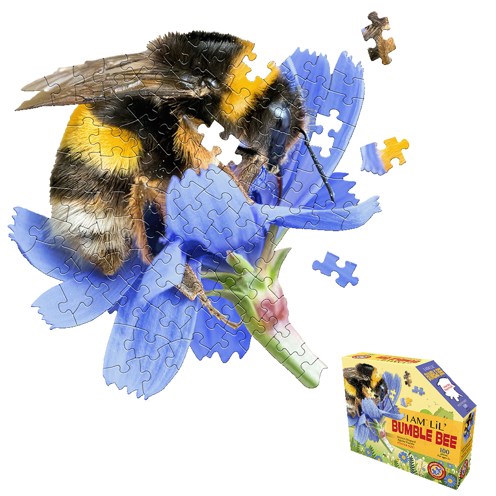 Madd Capp I AM LiL' Bumble Bee 100-piece jigsaw puzzle shaped like a bee on blue flower petals, with loose puzzle pieces and product box shown