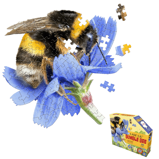 Madd Capp I AM LiL' Bumble Bee 100-piece jigsaw puzzle shaped like a bee on blue flower petals, with loose puzzle pieces and product box shown