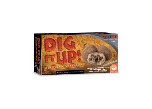 Dig It Up! Dinosaur Skeletons excavation kit box with 12 eggs containing different dinosaur skeleton figures inside