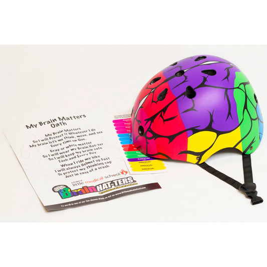 Colorful brain-patterned safety helmet with red, purple, yellow, and green sections showing brain anatomy, displayed with educational brain matters oath card an