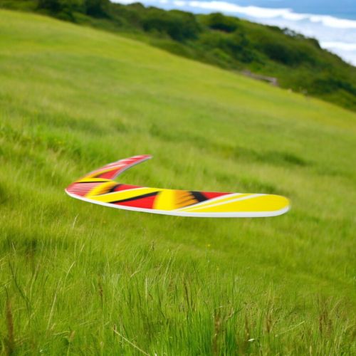 Ultimate Boomerang