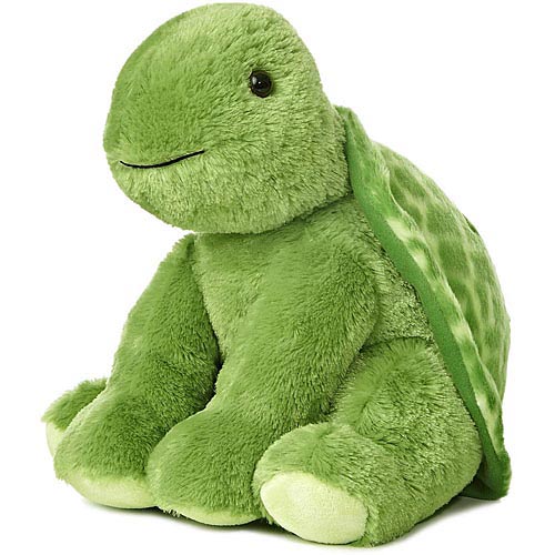 Turtle Promo (2025)