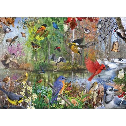 Bird of the Season 1000pc Puzzle