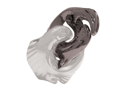 Hanayama Cast Metal Brain Teaser Puzzle Level 1 Trout, interlocking silver and dark gray metal pieces on plain background