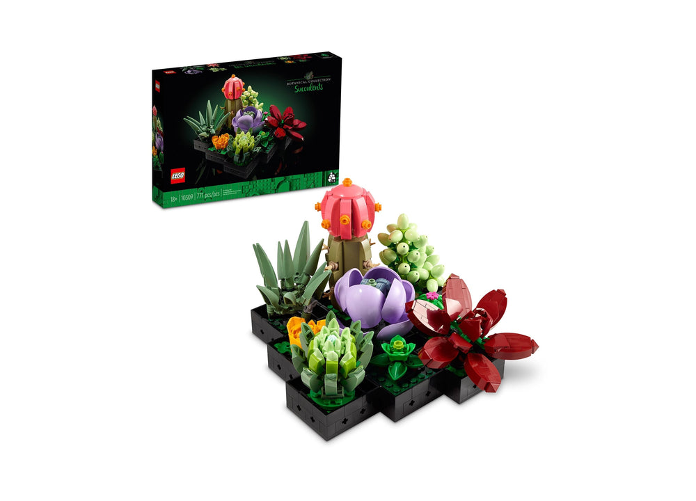 LEGO Icons Succulents Botanical Collection building set with colorful plant models including purple flower, red petals, green succulents, and coral cactus arran