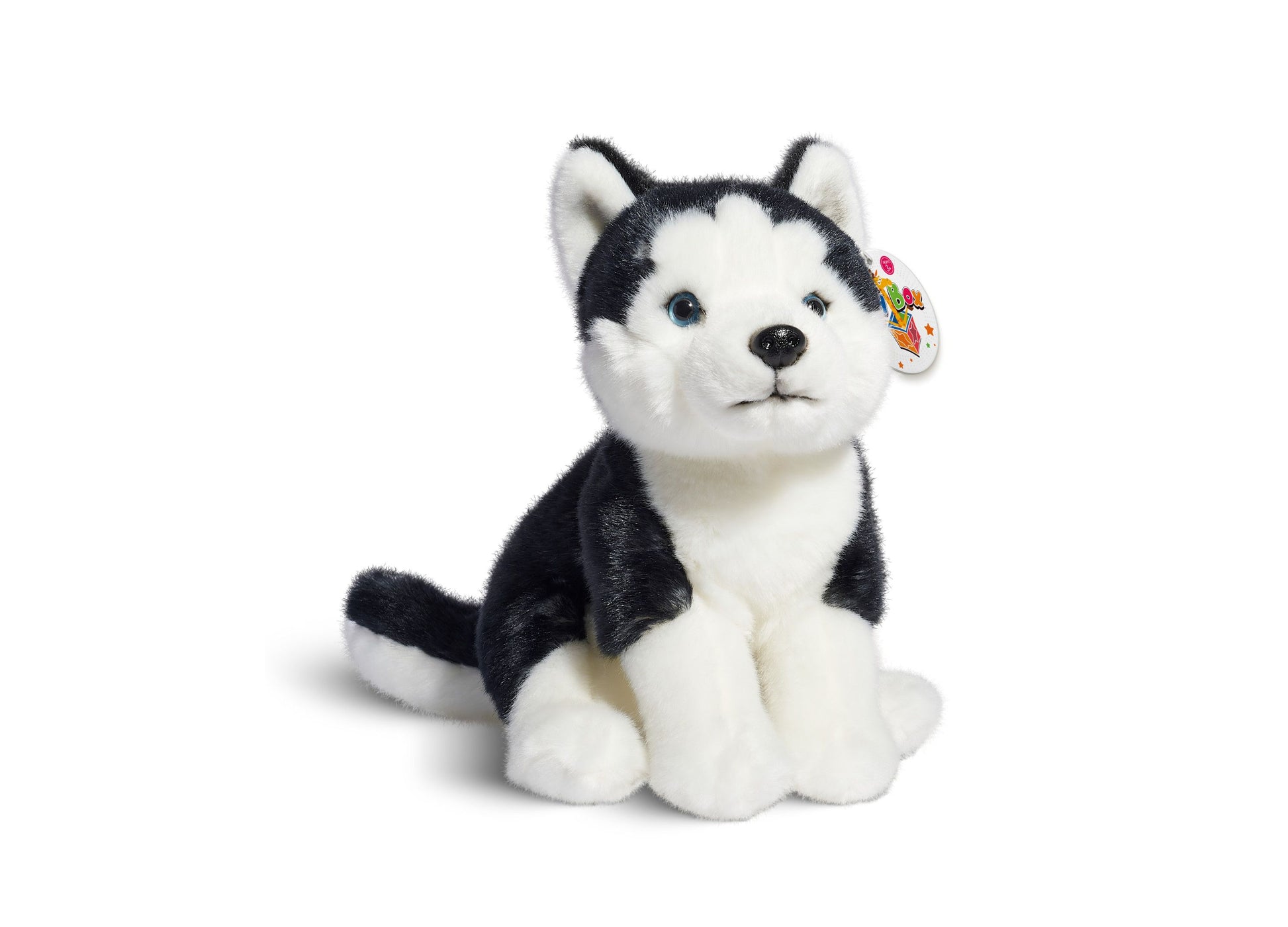 Black and white plush Siberian Husky puppy with blue eyes and pointed ears, sitting on plain background