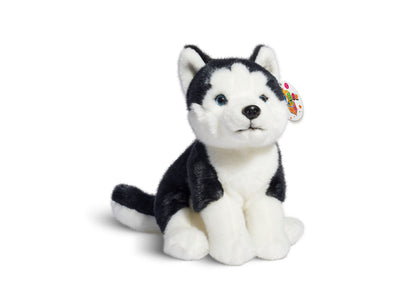 Black and white plush Siberian Husky puppy with blue eyes and pointed ears, sitting on plain background