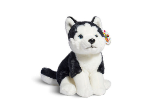 Black and white plush Siberian Husky puppy with blue eyes and pointed ears, sitting on plain background
