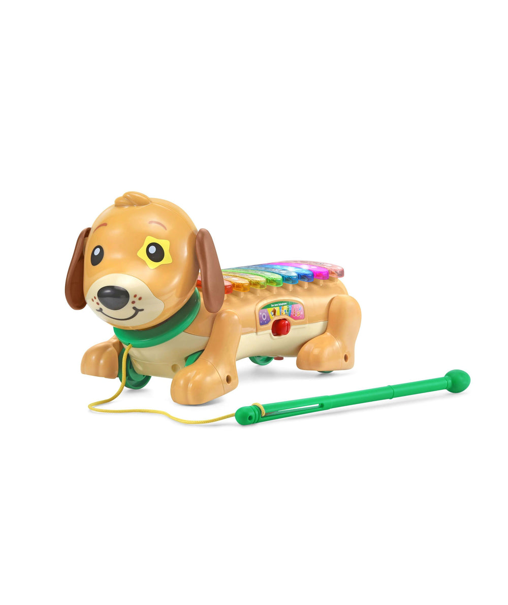Tan and brown plush-eared puppy xylophone toy with green collar, rainbow-colored keys on back, and green mallet with yellow cord