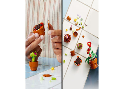 LEGO Icons Tiny Plants 10329 set with 9 colorful miniature flowers and plants in terracotta pots