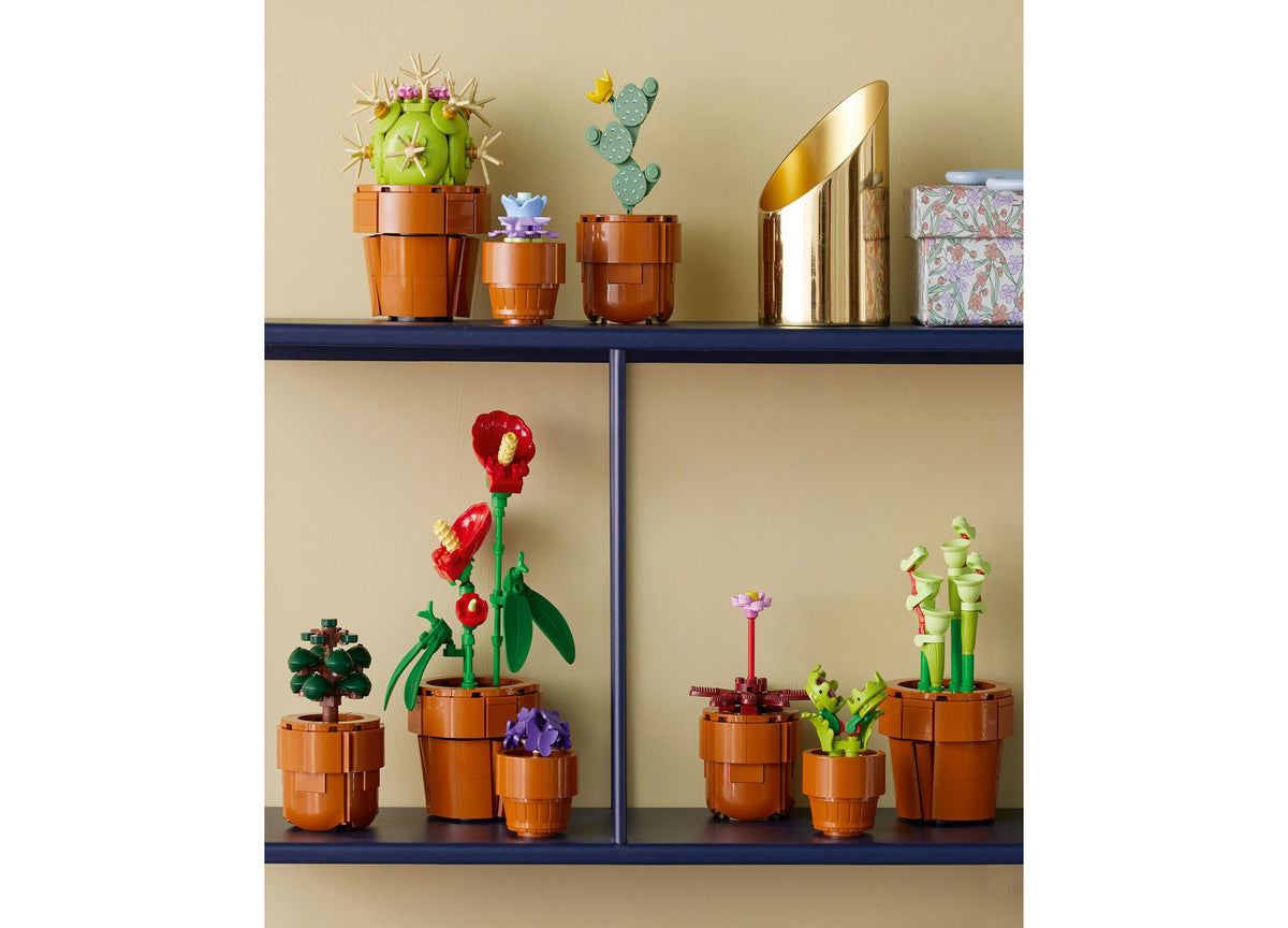 LEGO Icons Tiny Plants 10329 display set with 9 colorful miniature plants in terracotta pots on shelves