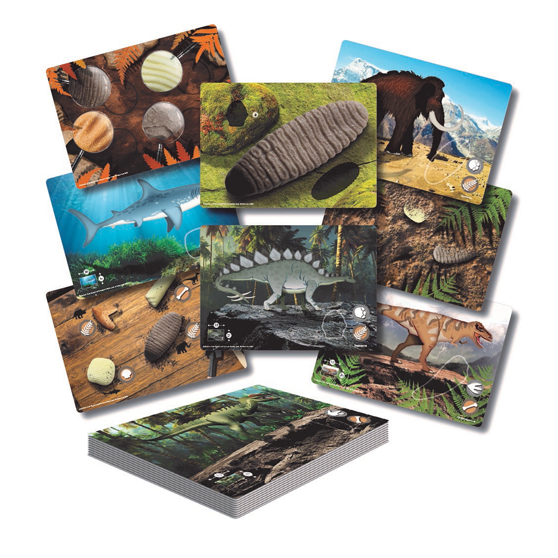 Set of 16 activity cards featuring dinosaurs, prehistoric creatures, fossils, and natural environments including shells, shark, stegosaurus, bear, and jungle sc