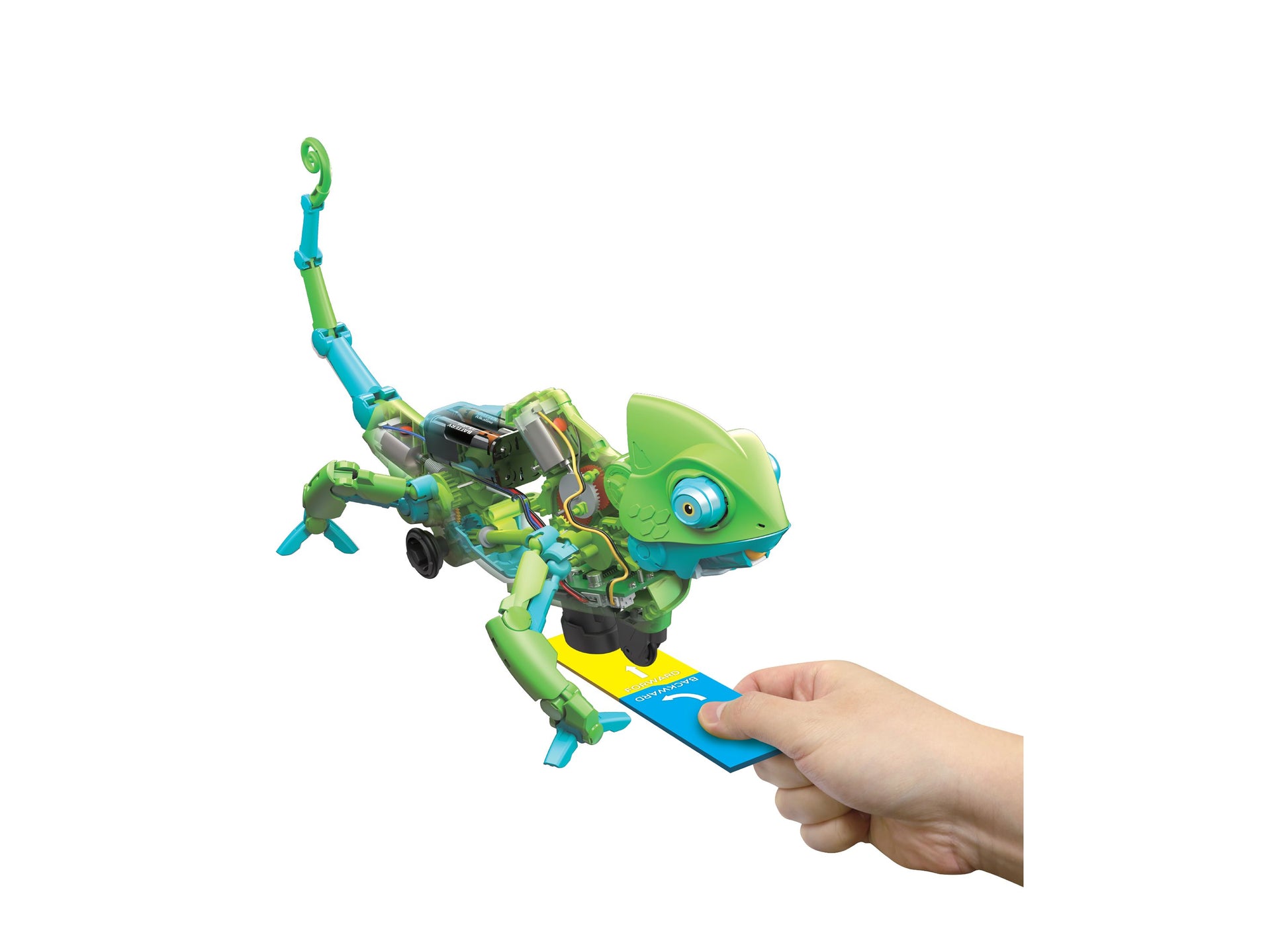 Thames & Kosmos My Robotic Pet Coding Chameleon with green and blue colors held in hand