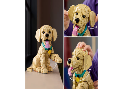 LEGO Icons Golden Retriever Puppy Building Set with tan posable dog figure wearing teal collar and pink tongue, shown...