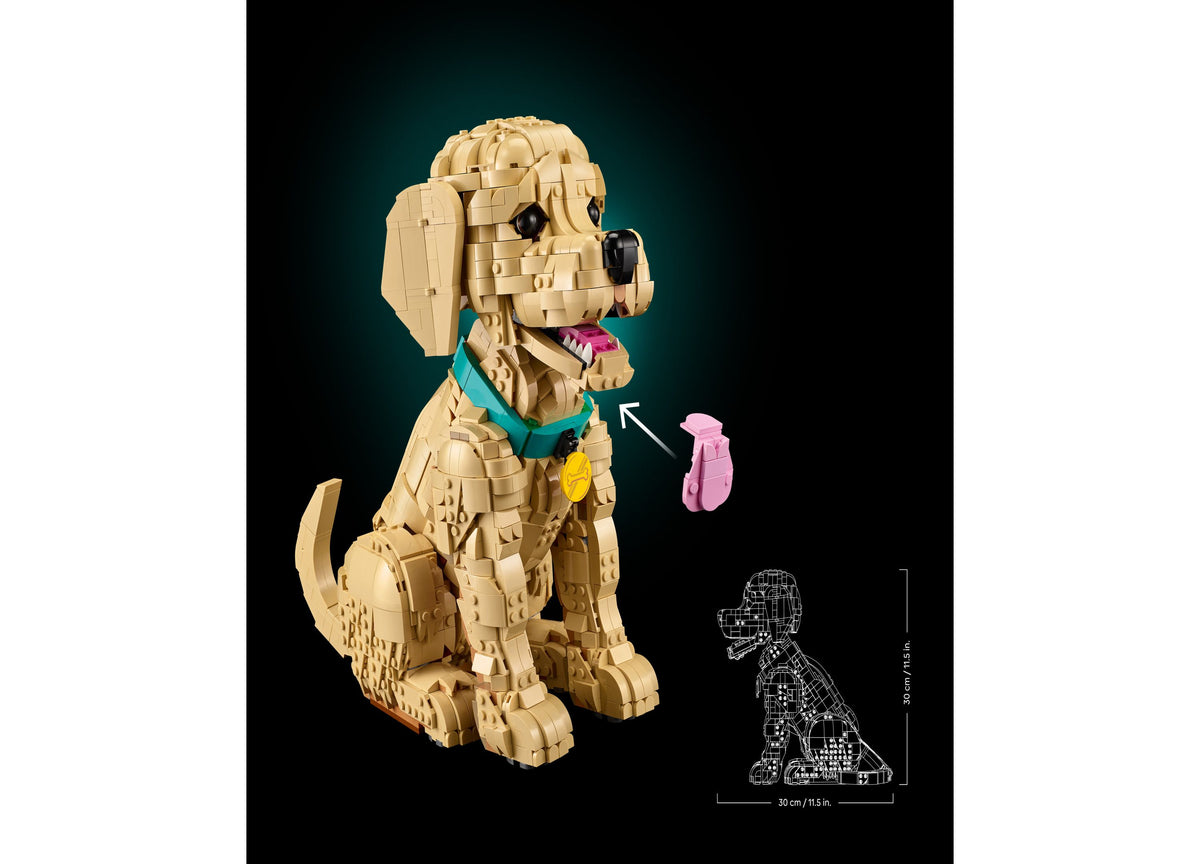 LEGO Icons Golden Retriever Puppy Building Set with tan posable dog figure, teal collar, yellow tag, and pink accessory