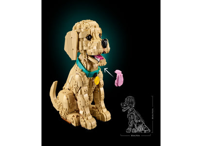 LEGO Icons Golden Retriever Puppy Building Set with tan posable dog figure, teal collar, yellow tag, and pink accessory