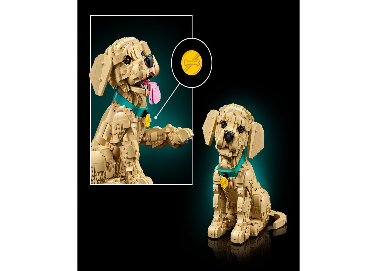LEGO Icons Golden Retriever Puppy Building Set with tan dog figure in sitting pose, blue collar with yellow tag, and ...