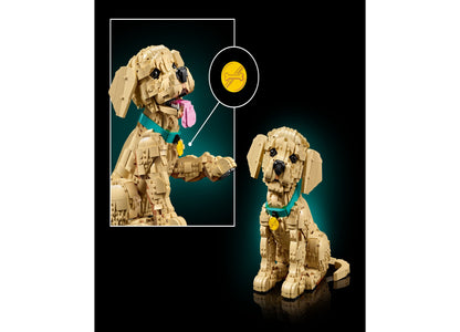 LEGO Icons Golden Retriever Puppy Building Set with tan dog figure in sitting pose, blue collar with yellow tag, and ...