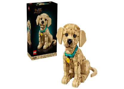 LEGO Icons Golden Retriever Puppy Building Set with tan posable dog figure wearing turquoise collar and yellow tag, s...