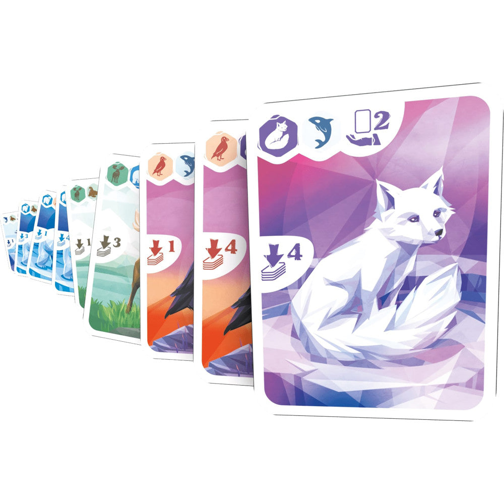 Ludonaute: Arctic - Strategy Card Game, Animal Set Collection & Hand Management, Ages 10+, 2-4 Players