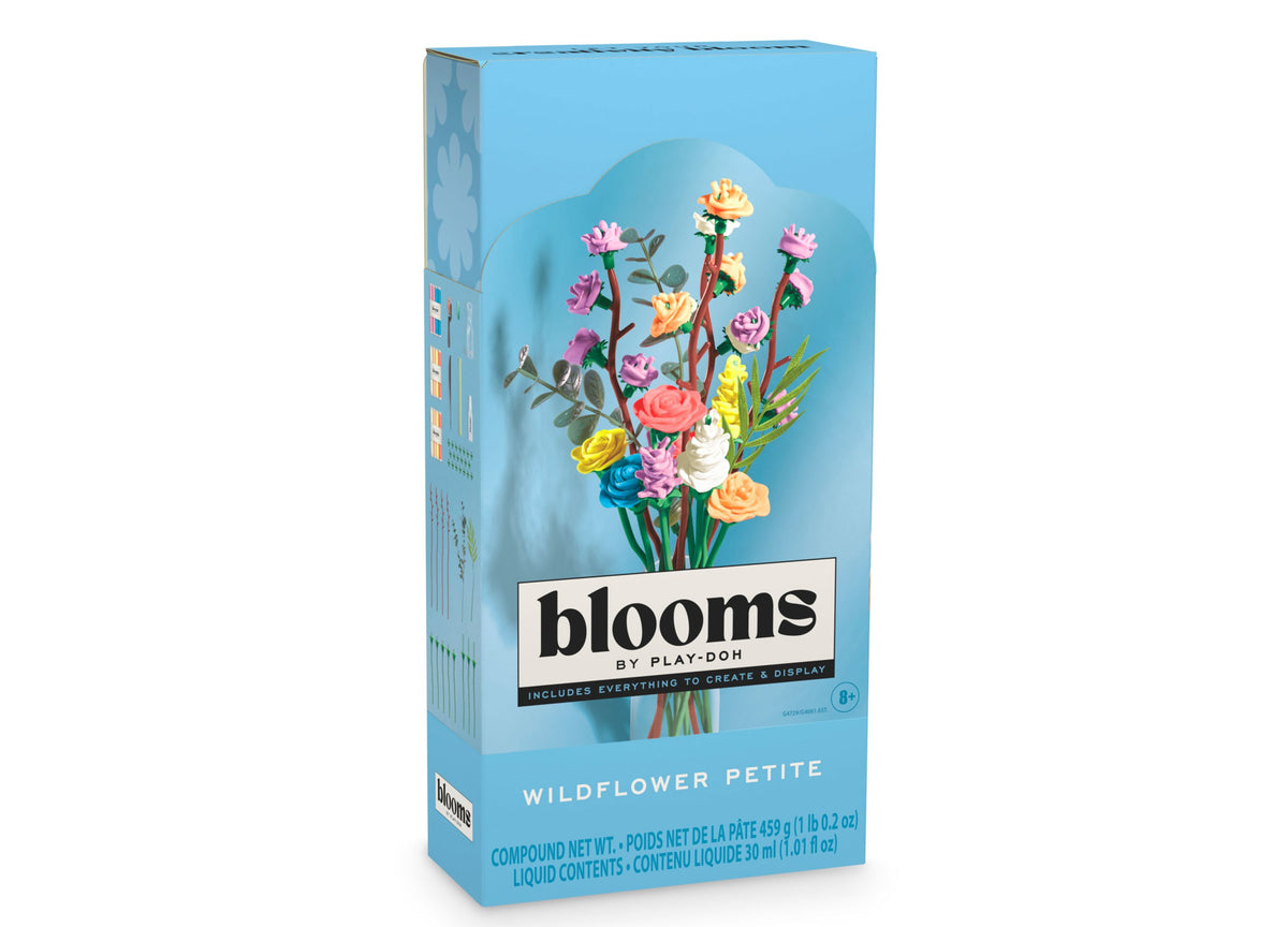 Play-Doh Blooms Wildflower Petite Bouquet Kit box showing colorful molded flowers in a vase